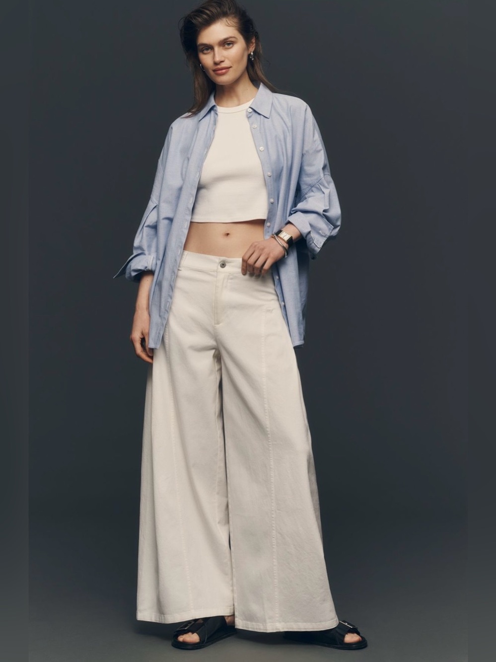 Maeve Wide-Leg Pleated Pants, Petite 8
